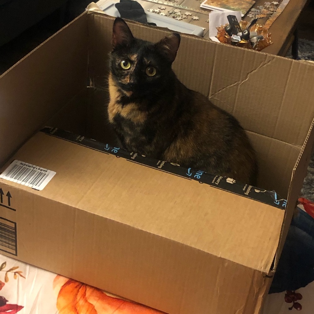 Random live shows - Picture 7 of 12